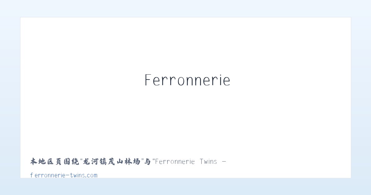 孟村回族自治县 - Ferronnerie Twins - Accueil 主图